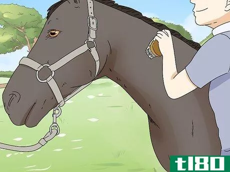 Image titled Be a Good Horse Rider Step 5