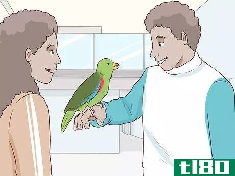Image titled Care for an Eclectus Parrot Step 20