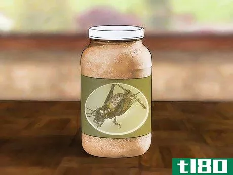 Image titled Care for Live Crickets for Reptiles Step 6