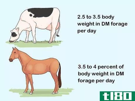Image titled Calculate Stocking Rates for Your Pastures Step 10