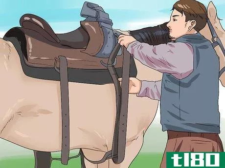 Image titled Approach Your Horse Step 11
