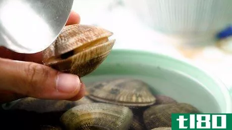 如何煮蛤蜊(boil clams)