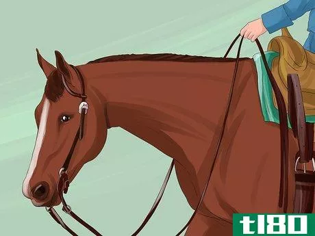Image titled Get More Confident Around Horses Step 10