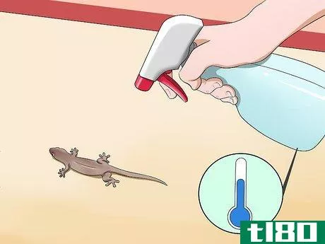 Image titled Catch a Lizard Without Using Your Hands Step 4