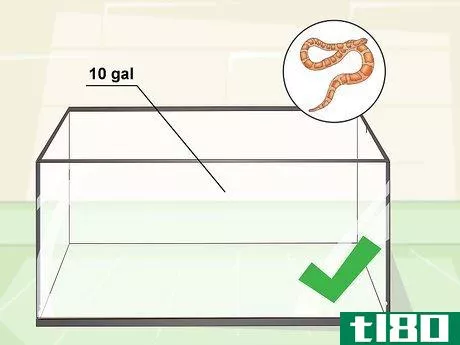 Image titled Care for Baby Cornsnakes Step 1