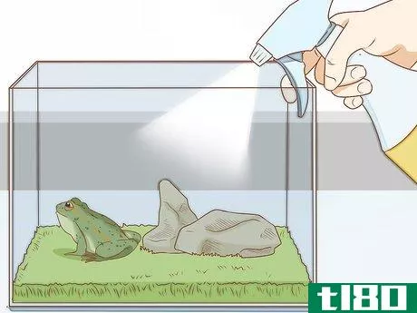 Image titled Care for Green Tree Frogs Step 16