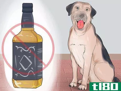 Image titled Avoid Foods Dangerous for Your Dog Step 1
