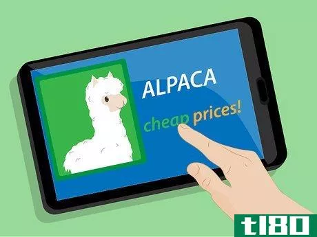 Image titled Buy Alpacas Step 14