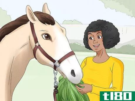 Image titled Become an Equine Physiotherapist Step 7