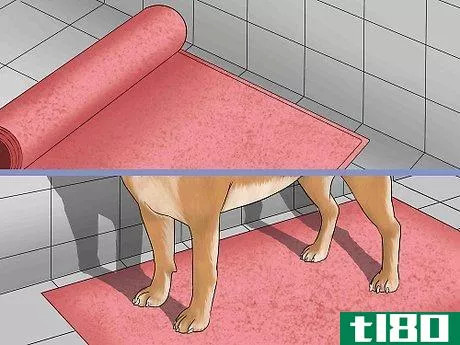 Image titled Bathe a Dog in a Shower Step 3