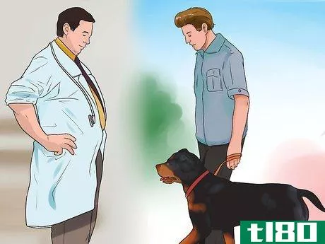 Image titled Be a Good Dog Owner Step 1