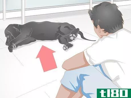 Image titled Buy an Orthopedic Dog Bed Step 4