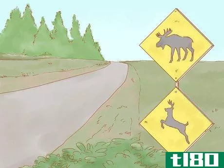 Image titled Avoid a Moose or Deer Collision Step 1
