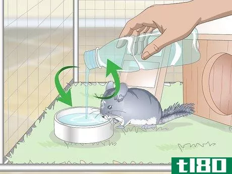 Image titled Care for Chinchillas Step 13