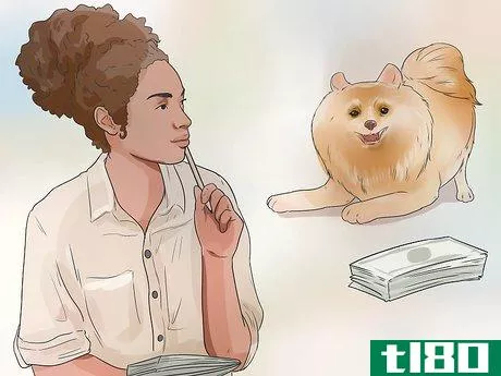 Image titled Buy a Pomeranian Step 3