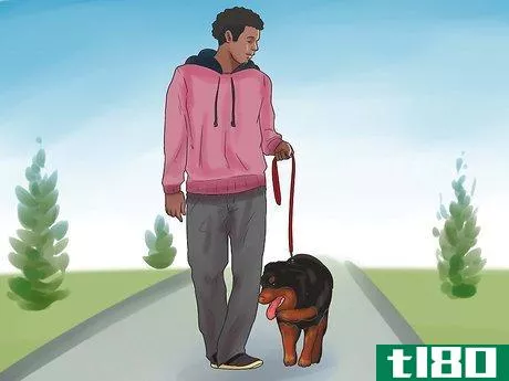 Image titled Be a Good Dog Owner Step 15