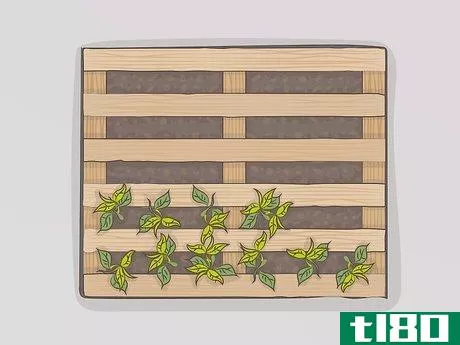 Image titled Build a Planter Box from Pallets Step 5