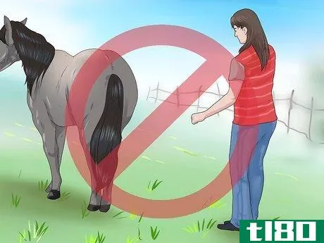 Image titled Approach Your Horse Step 14