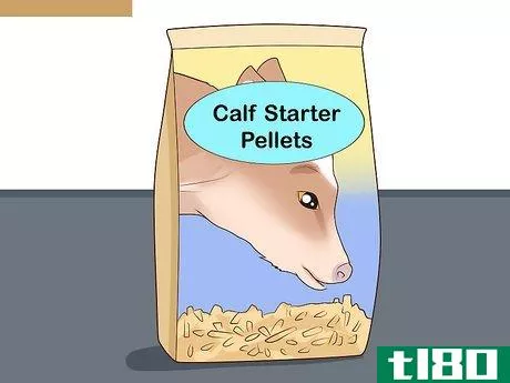 Image titled Bottle Feed Calves Step 16