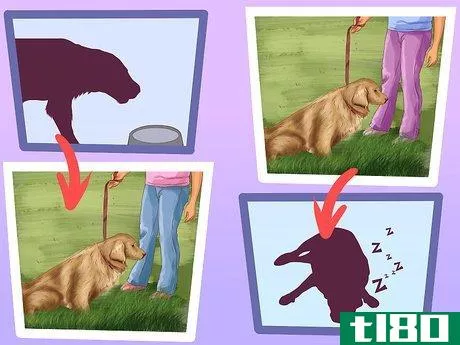 Image titled Be a Responsible Dog Owner Step 10