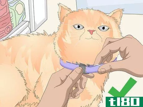 Image titled Buy a Collar for Your Cat Step 5
