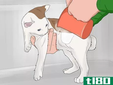 Image titled Bathe a Kitten Step 11