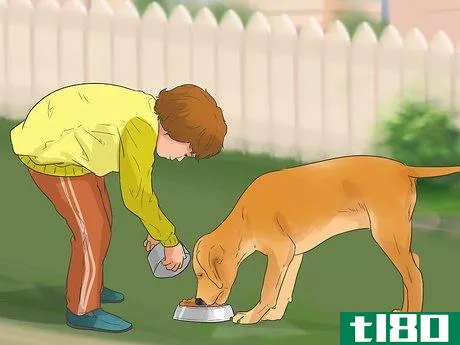 如何做一个好的宠物主人（对孩子来说）(be a good pet owner (for kids))