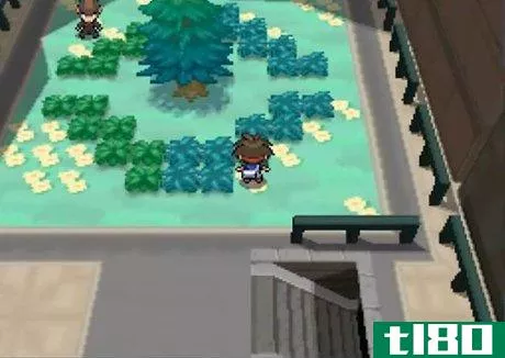 Image titled Catch a Wild Eevee in Pokemon Black_White 2 Step 6