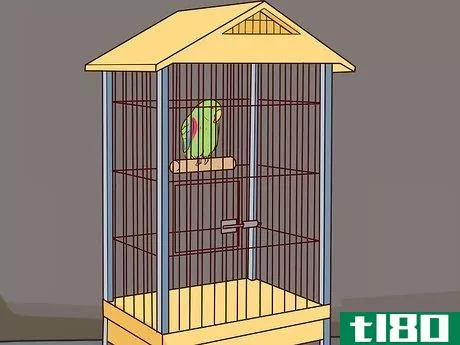 Image titled Care for an Eclectus Parrot Step 5