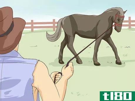 Image titled Break a Horse Step 14