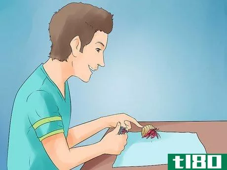 Image titled Care for Hermit Crabs Step 17