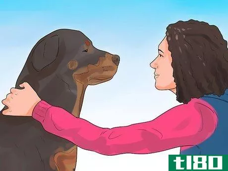 Image titled Be a Good Dog Owner Step 18