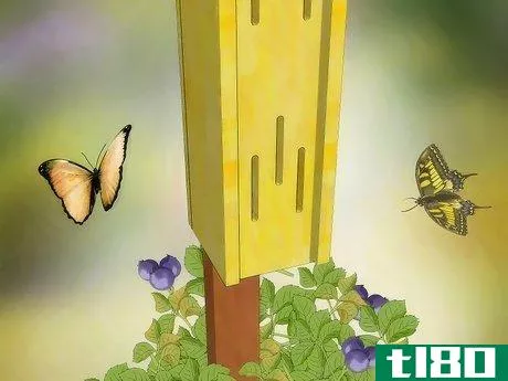 Image titled Build a Butterfly House Step 15