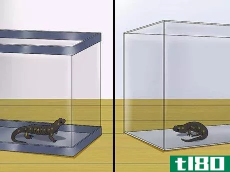 Image titled Catch a Salamander Step 8