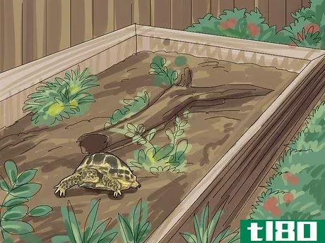 Image titled Care for a Tortoise Step 12