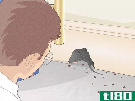 Image titled Become a Pest Control Specialist Step 11