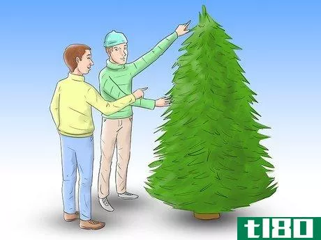 Image titled Care for a Christmas Tree Step 1