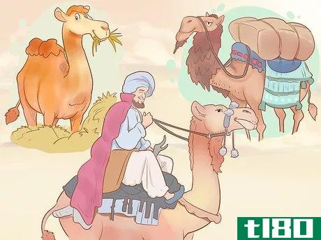 Image titled Buy a Camel Step 2