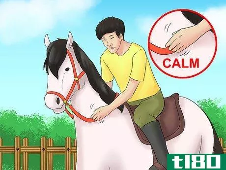 Image titled Calm Your Hot Horse Step 7