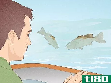 Image titled Become a Professional Fisherman Step 3