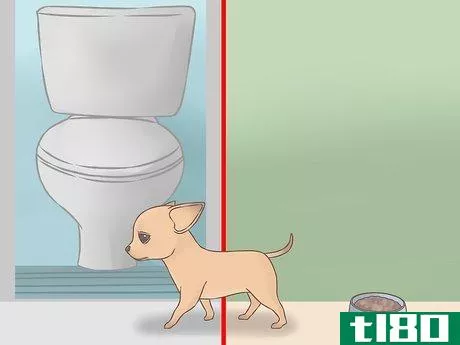 Image titled Care for Your Chihuahua Puppy Step 10