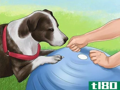 Image titled Bring up a Gentle and Pleasant Dog Step 8