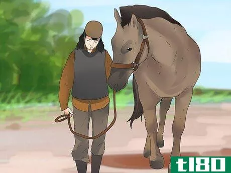 Image titled Be Safe Around Horses Step 29