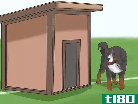 Image titled Care for Bernese Mountain Dogs Step 10