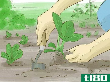 Image titled Help Save the Environment Step 42