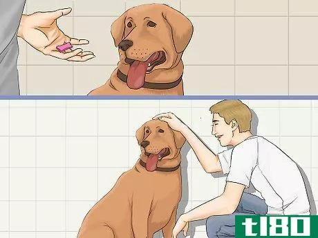 Image titled Bathe a Dog in a Shower Step 18