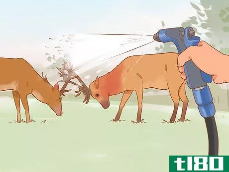 Image titled Break Up a Deer Fight Step 5