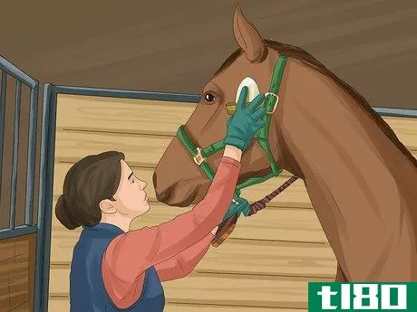 Image titled Get More Confident Around Horses Step 4