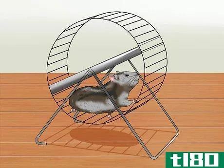 Image titled Care for a Hamster That Bites Step 7