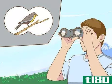 Image titled Bird Watch Step 14